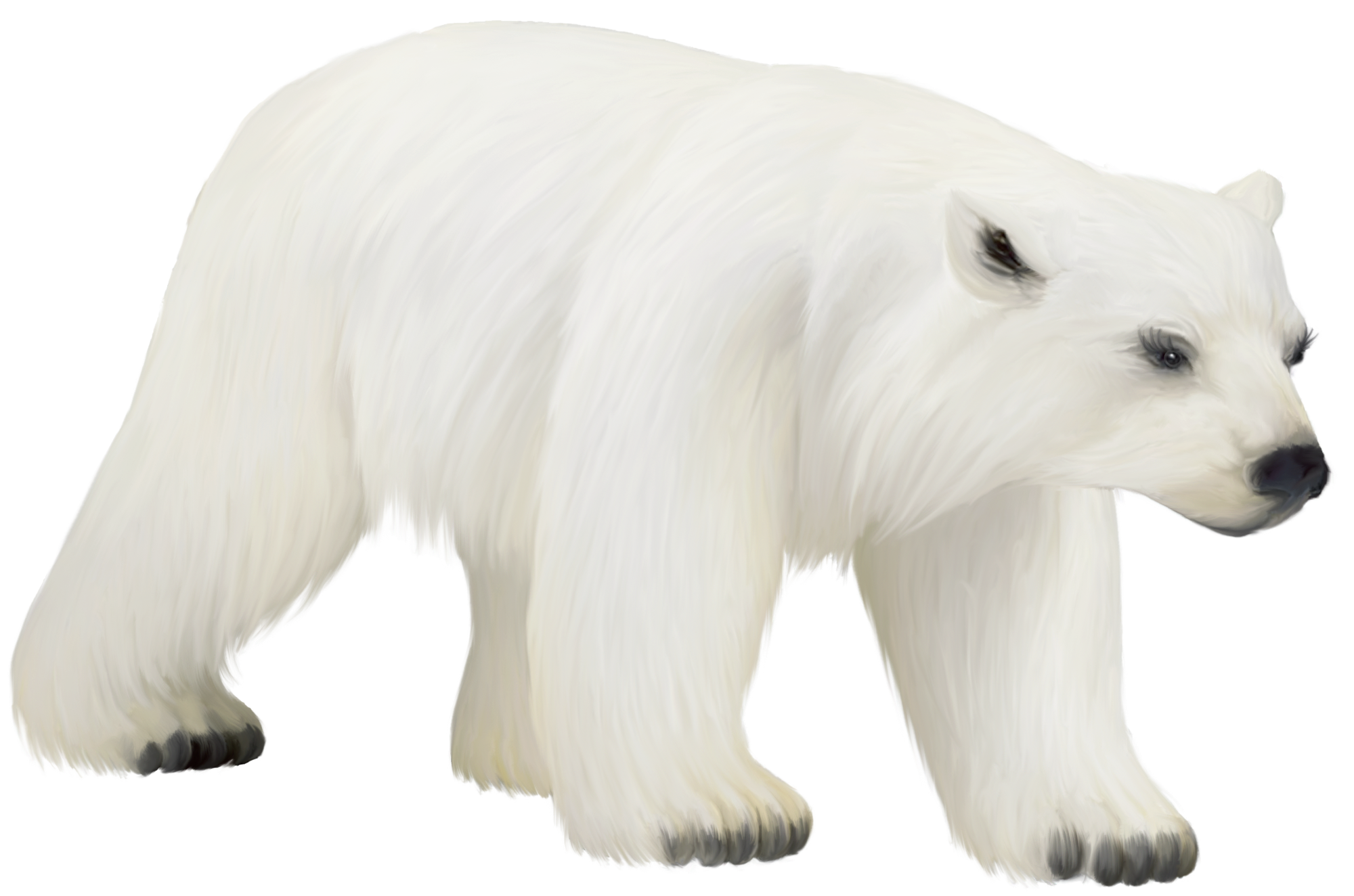 Large painted polar bear clipart 0