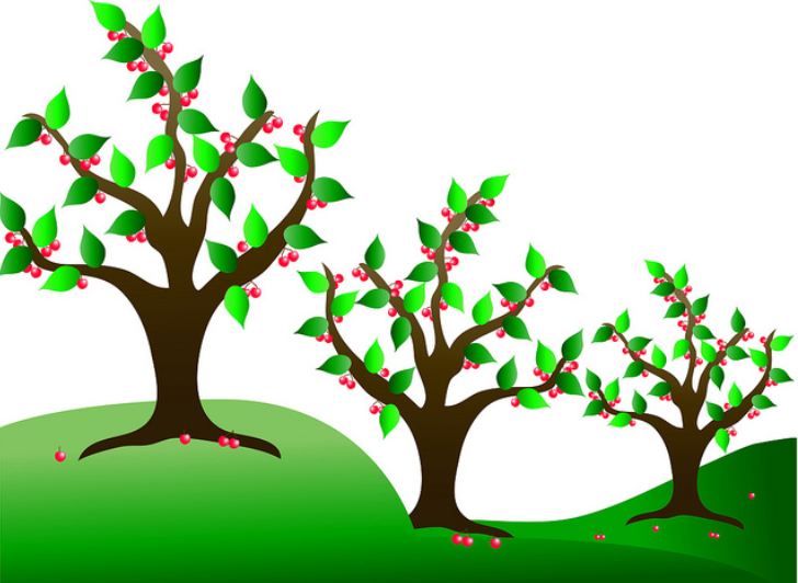 August tree pictures art clipart