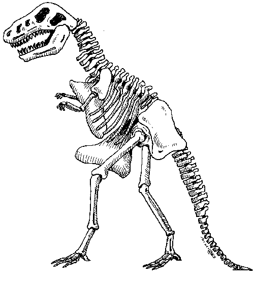 Dinosaur skeleton clip art gallery