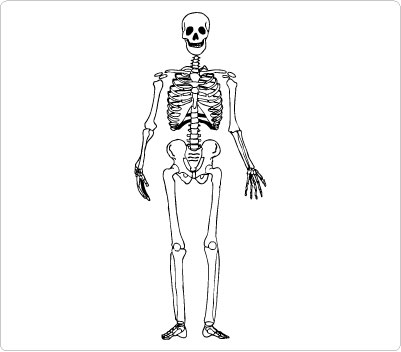 Skeleton hit the download button now clip art