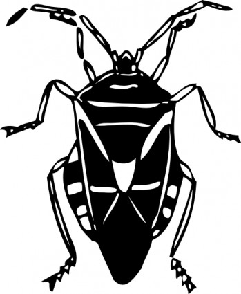 Fly bug insect clip art free vector for free download about
