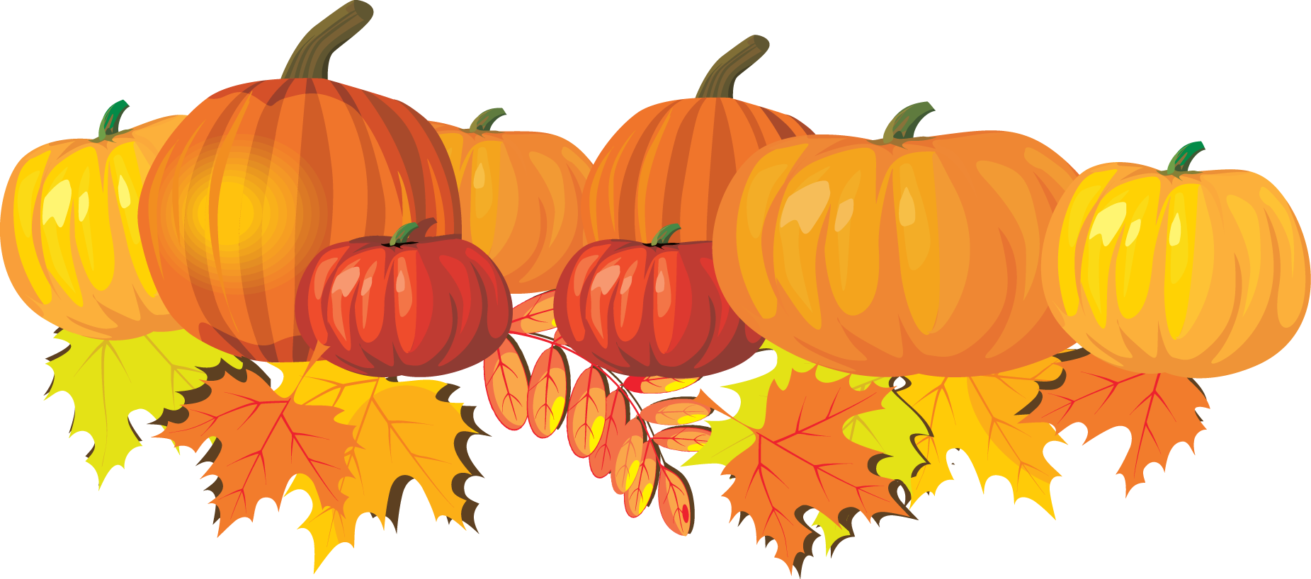 October top fall mums clip art images for