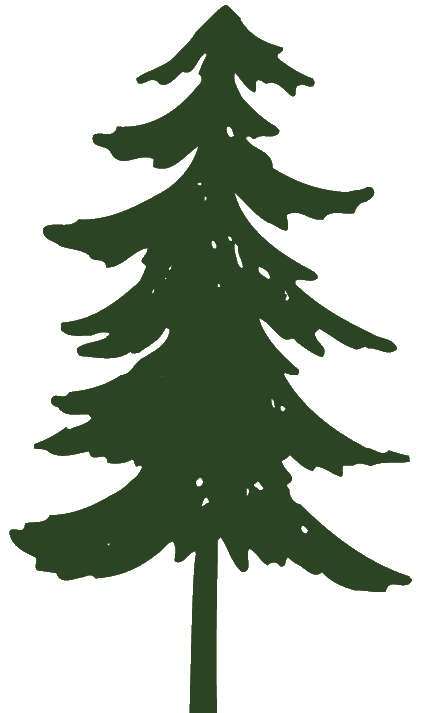 Pine tree graphic clipart