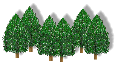 Tree clip art pine trees in a row row of pine trees