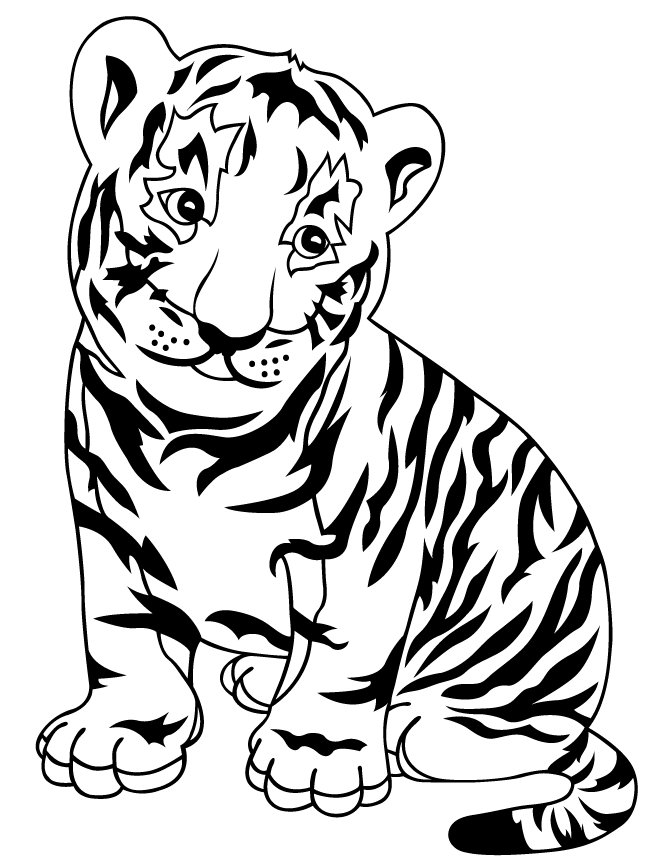 Baby tiger cub coloring page free clipart images