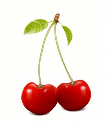 Cherry vector free vector for free download about free clip art