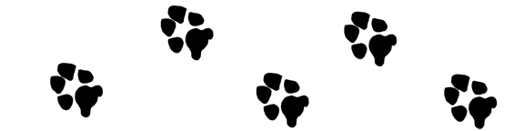 Dog paw print clip art paw print graphics for projects dog