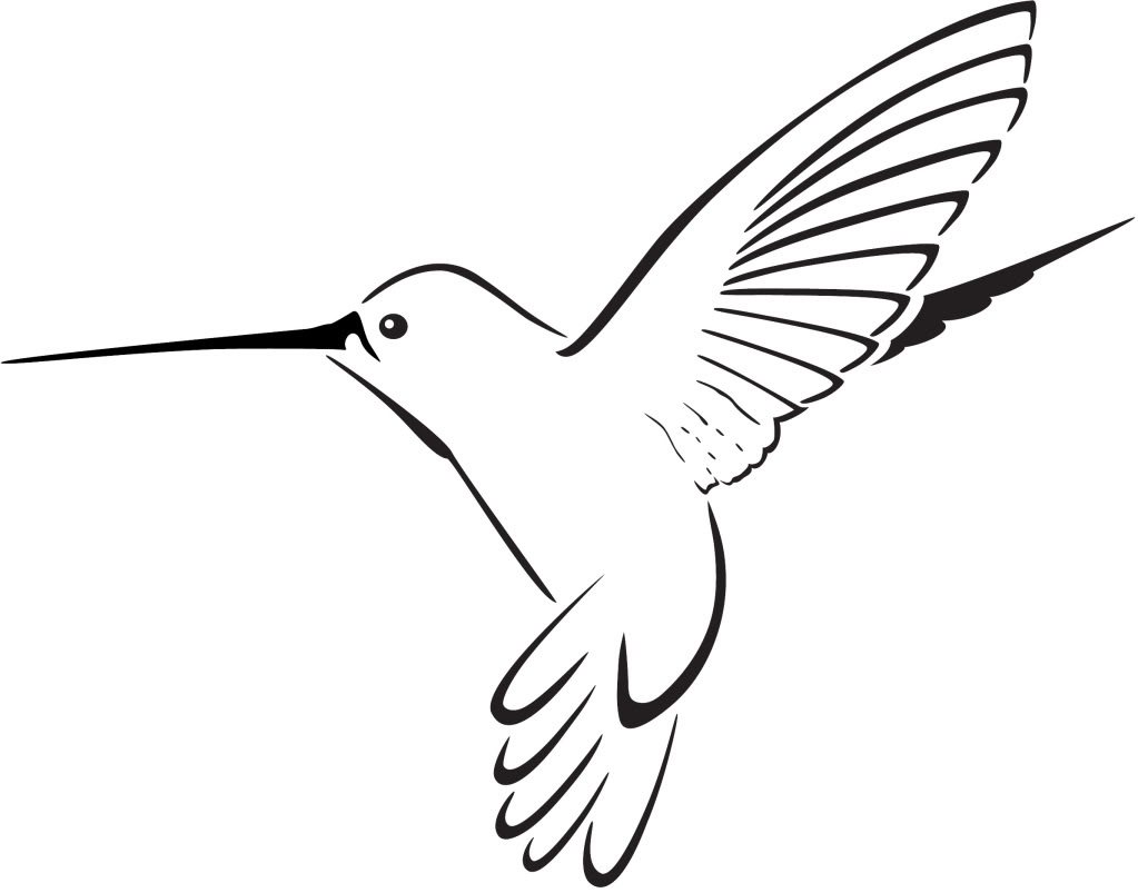 Gallery for black and white hummingbird clip art