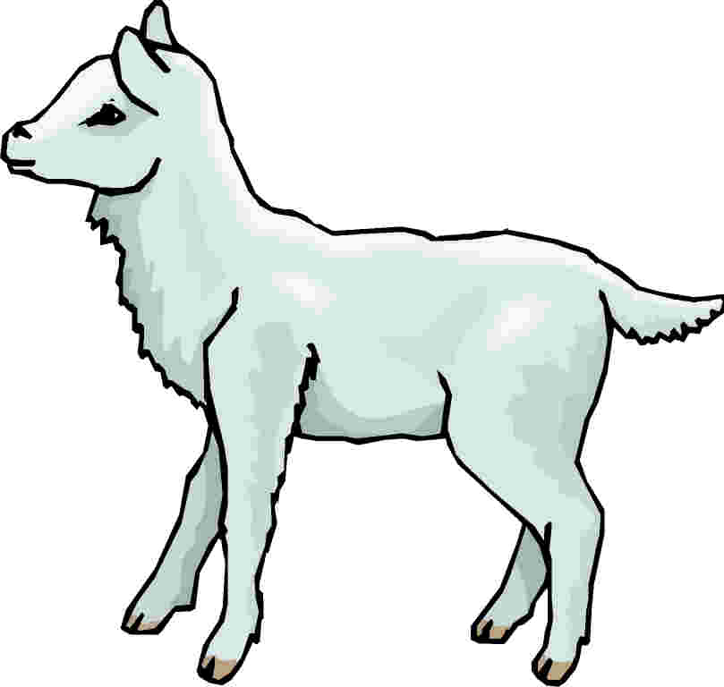 Gallery for free lamb clip art images 2