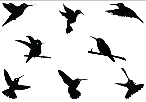Hummingbird clipart black and white clipart