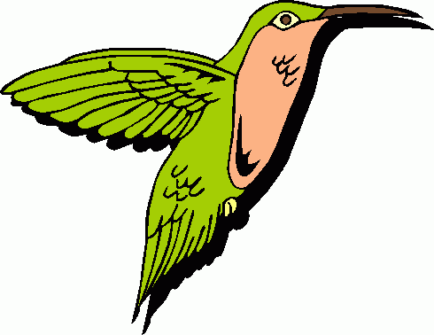 Hummingbird clipart free clipart 2
