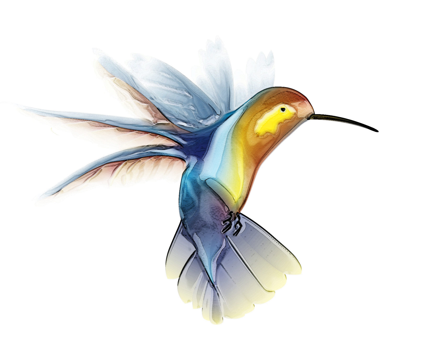 Hummingbird free images at vector clip art
