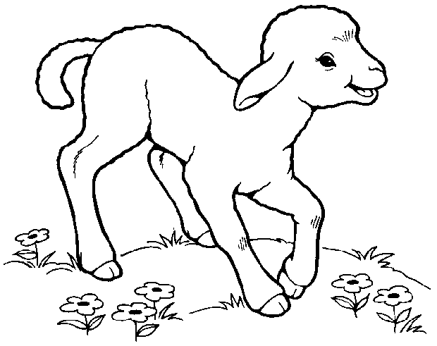 Lamb clipart 3