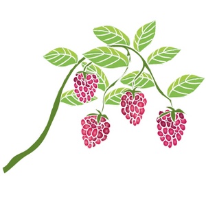 Vine raspberries clipart image clip art illustration of raspberries