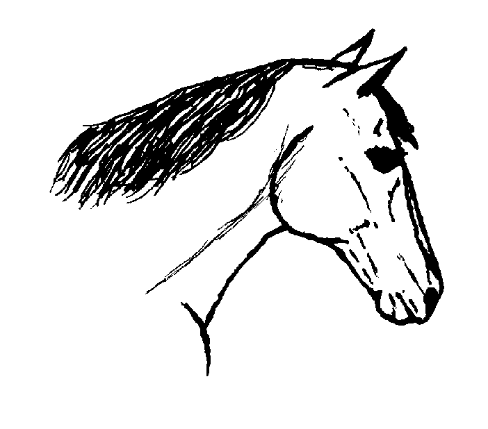 Horse head drawings clip art clipart clipart