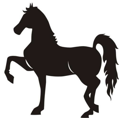 Horse head gallery for clip art and horse