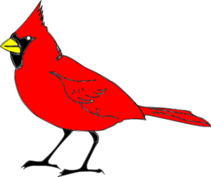 Bird cartoon chicken hen vector clip art