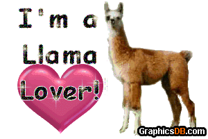 Facebook llama pictures llama photos llama images clip art
