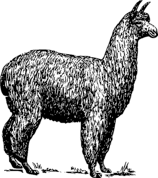 Free llama clipart 1 page of public domain clip art