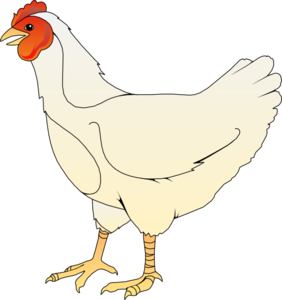 Hen chicken clip art at vector clip art 2