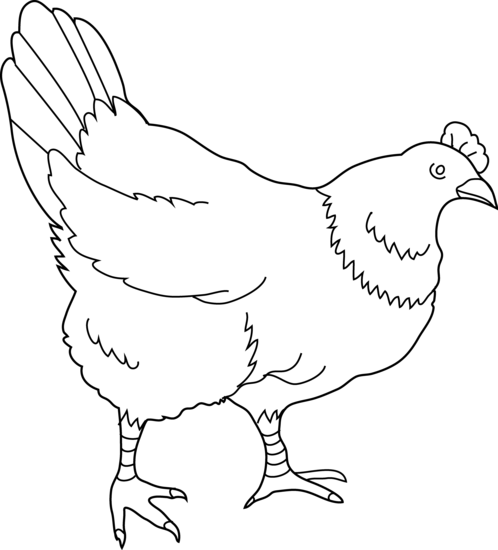 Hen coloring page 2 free clip art