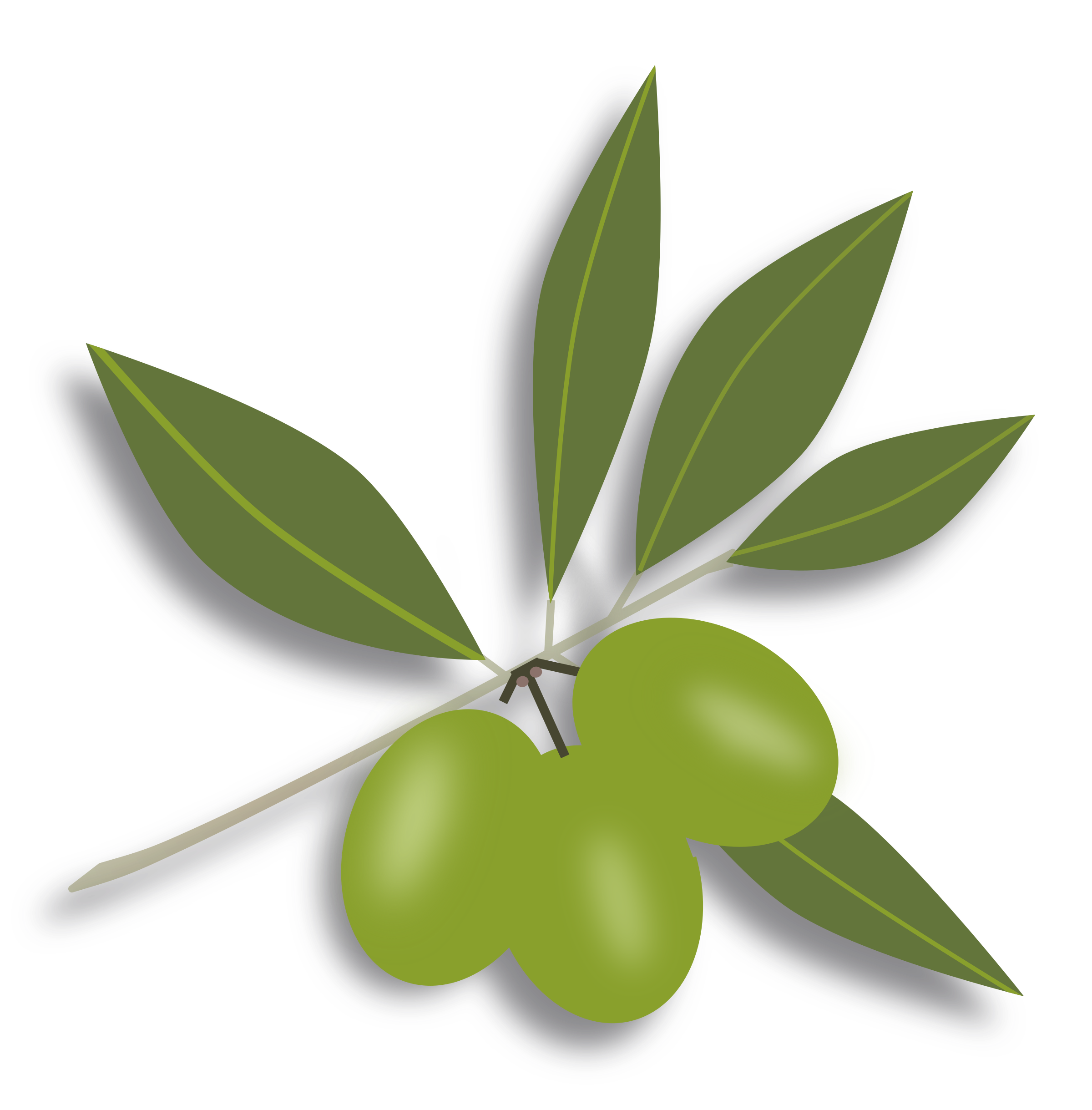 Clipart green olives