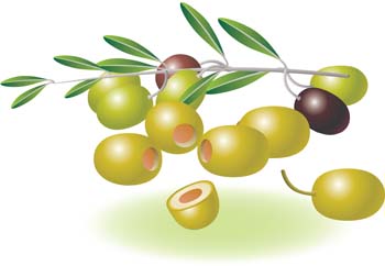 Olive download page 1 clip art