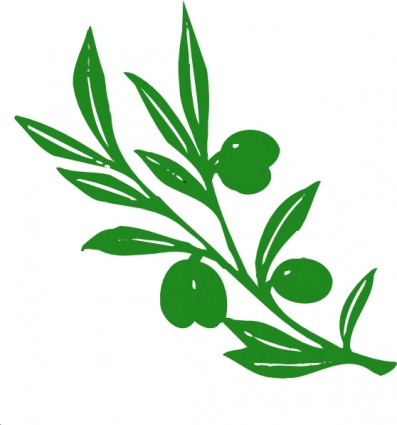 Olive tree branch clip art free vector in open office drawing svg