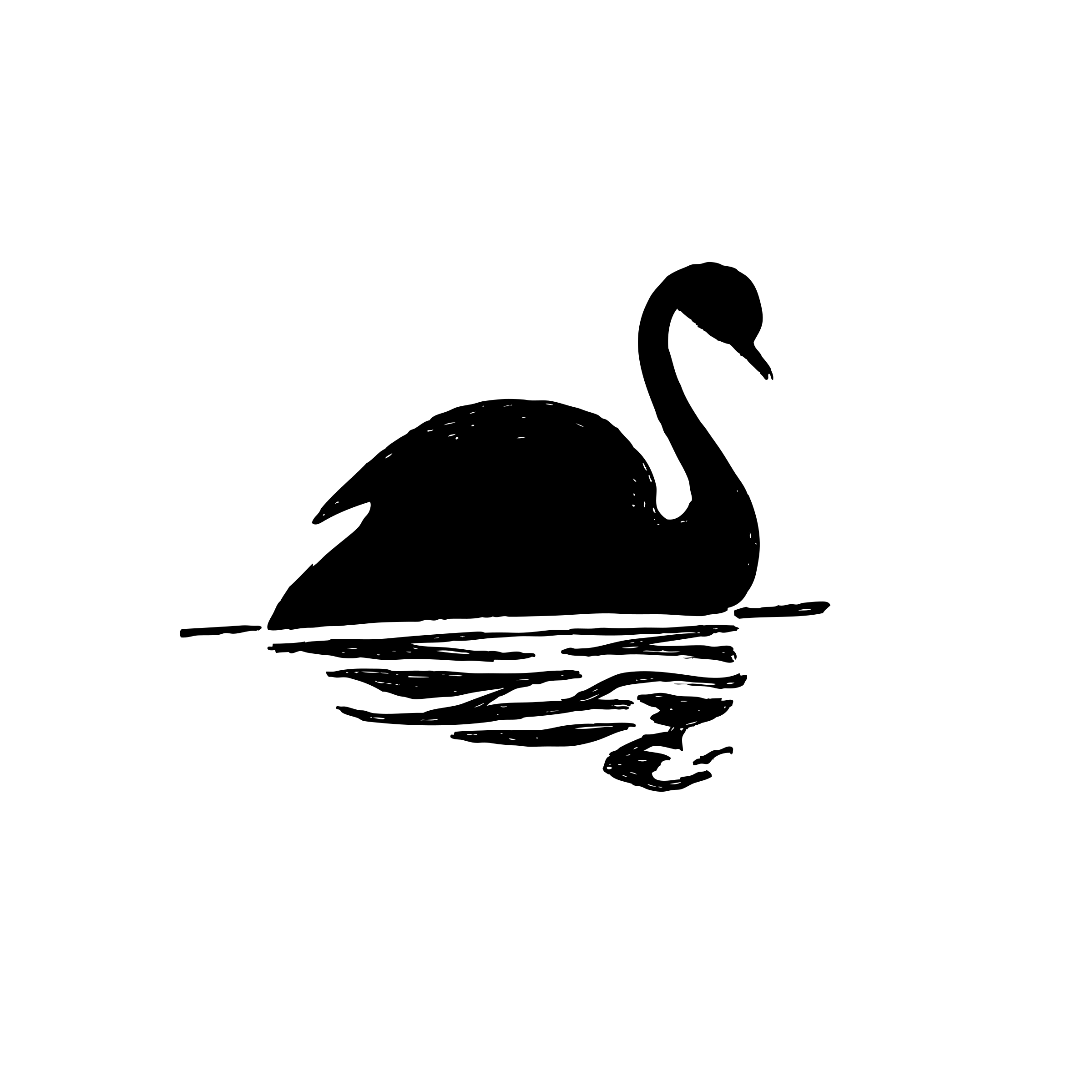 Clipart black swan free clipart images