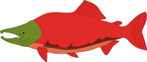 Cooked salmon clipart free clipart images 2