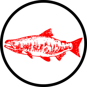 Salmon clip art at vector clip art