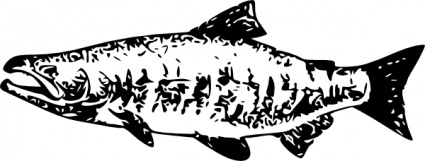 Salmon clip art free vector animals vectors
