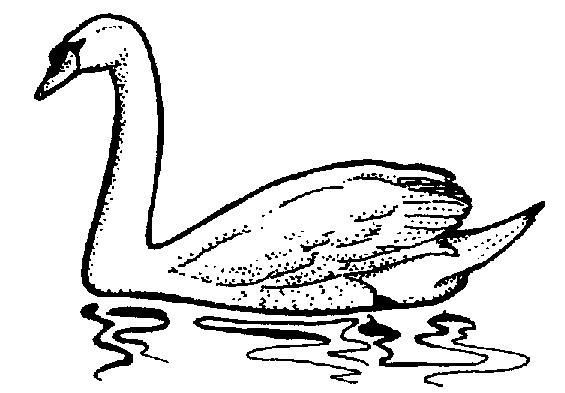 Swan caviar clipart free clipart images