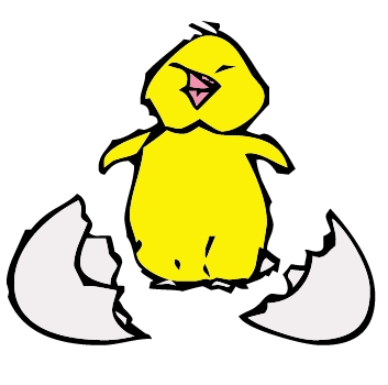 Baby chick hatching clipart