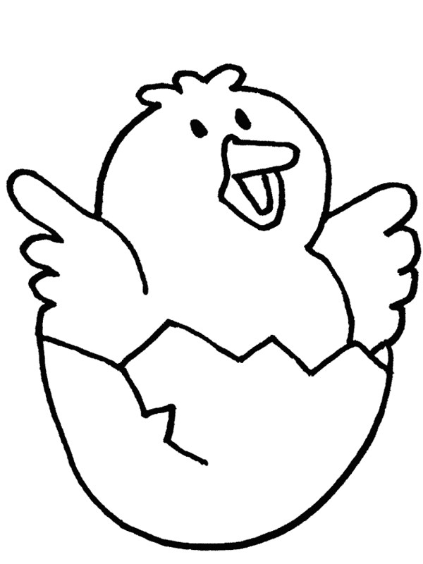 Baby chick pictures clip art clipart