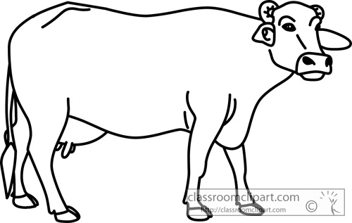 Animals buffalo female outline classroom clipart