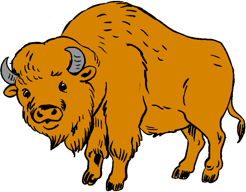 Buffalo bison clip art free clipart