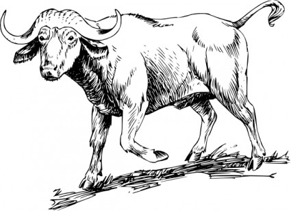 Buffalo clip art free vector in open office drawing svg svg 2