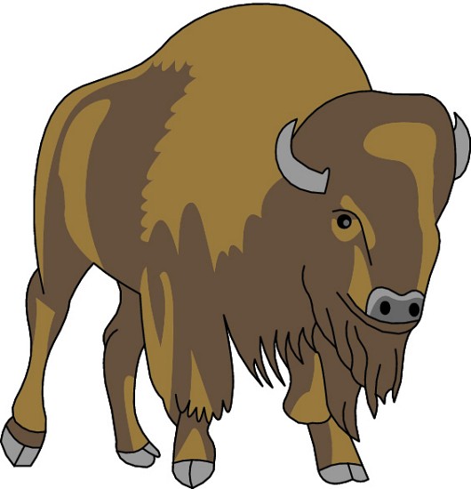 Buffalo gallery for bison clip art
