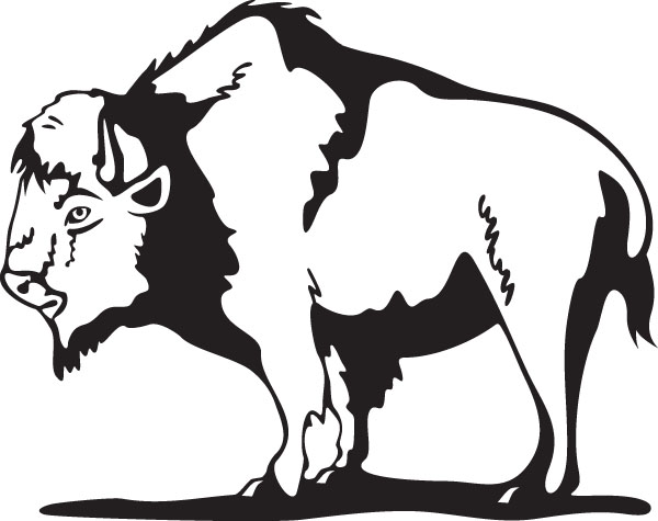 Buffalo or american bison animal clip art for custom ts