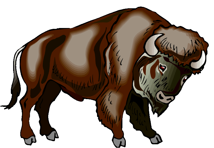 Free buffalo clipart 2