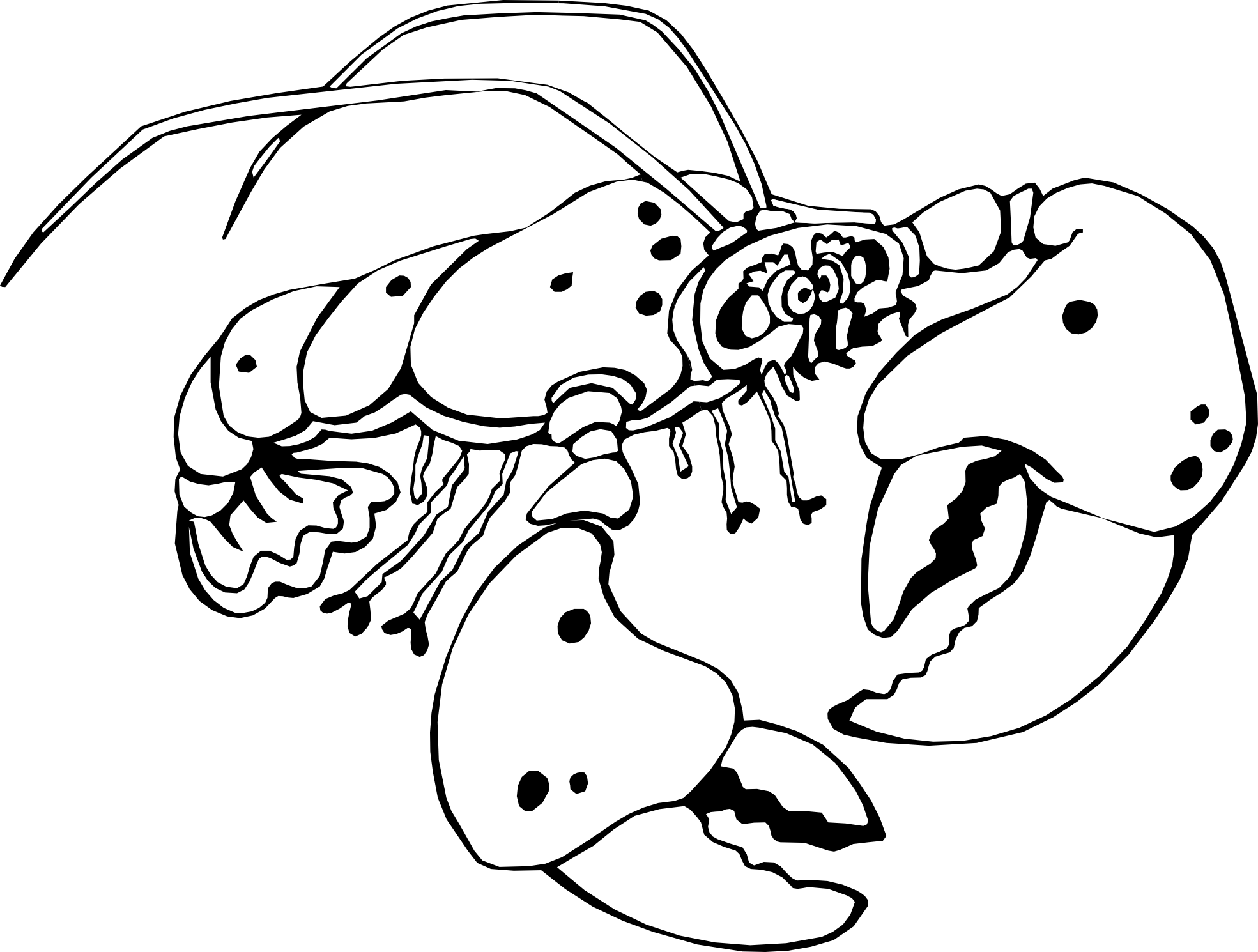 Lobster 2 black white line free clipart images