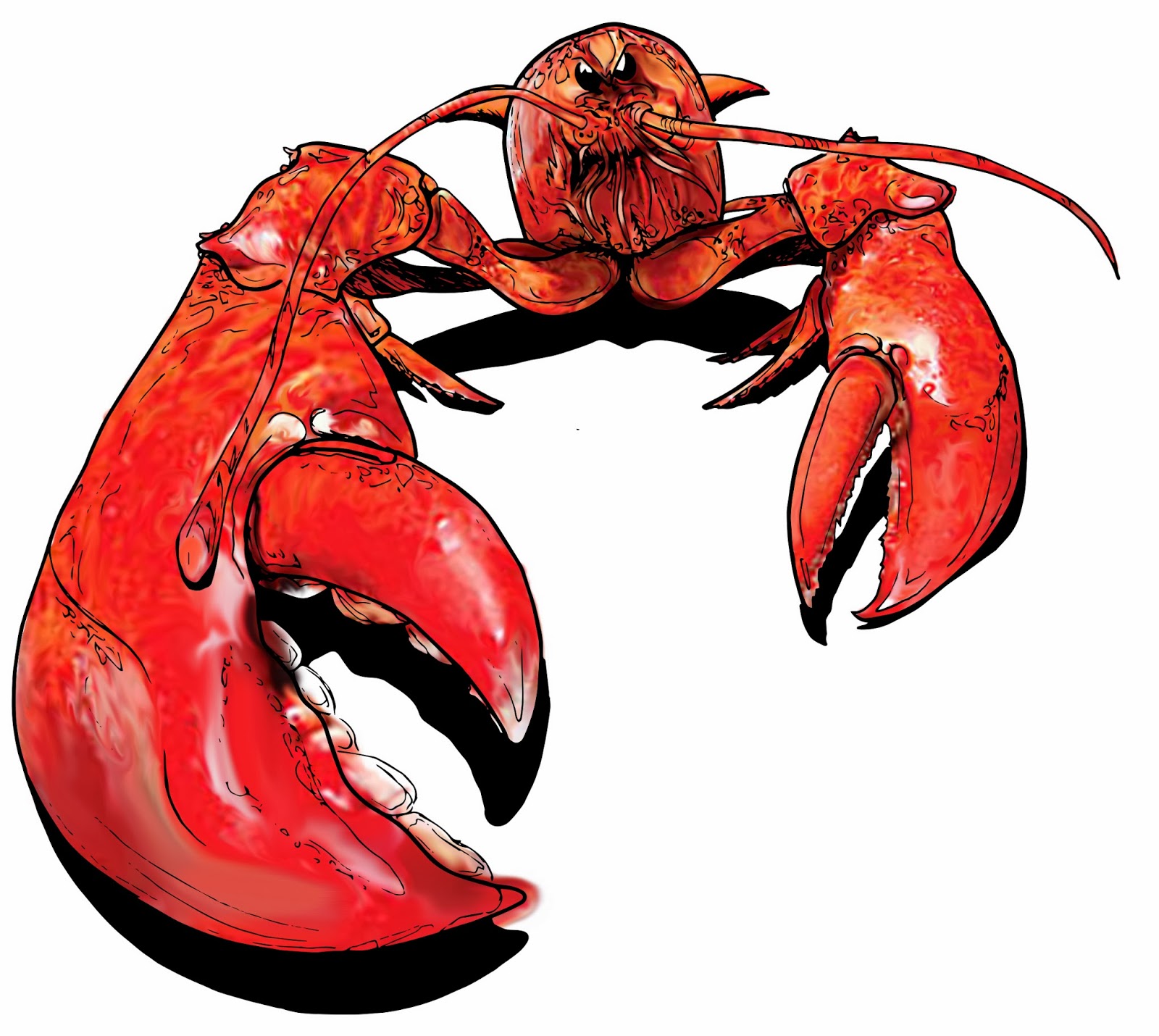 Lobster claws illustration free clipart images