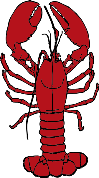 Lobster clip art at vector clip art