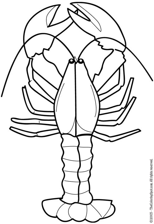 Lobster clip art free free clipart images