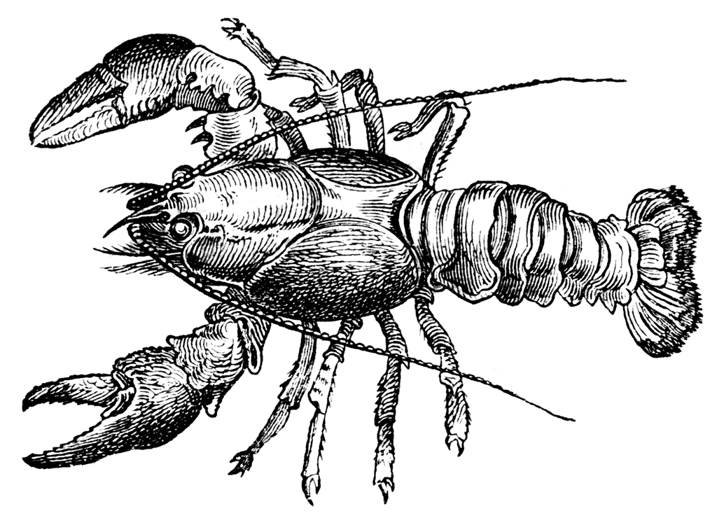 Lobster clipart etc