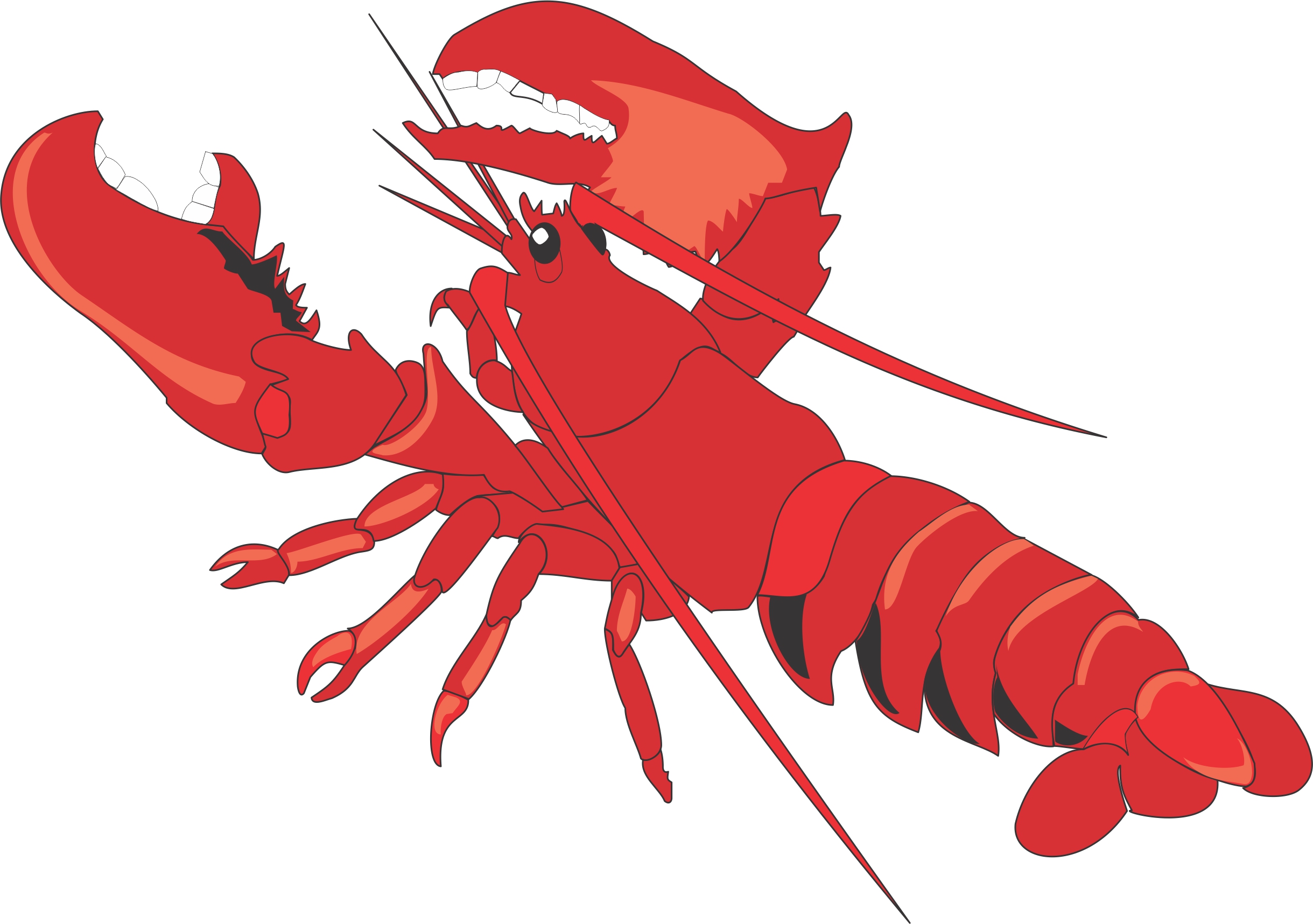 Lobster clipart images free free clipart images