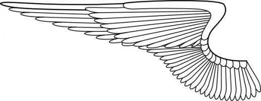 Angel wings wing clip art free vector in open office drawing svg svg 2