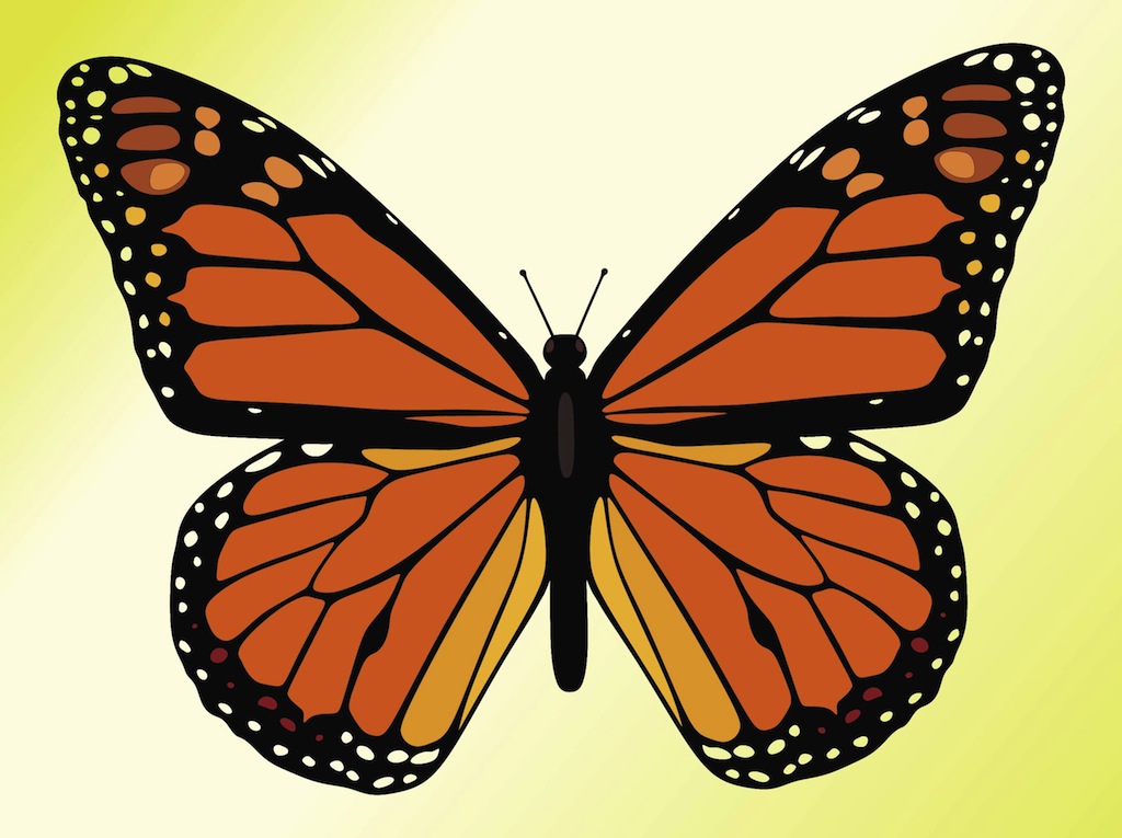 Gallery for cartoon monarch butterfly clip art
