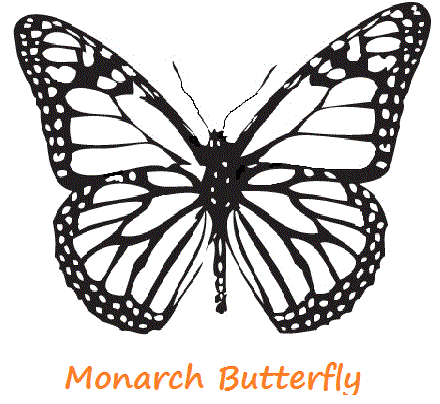 Monarch butterfly butterfly art sketches clipart